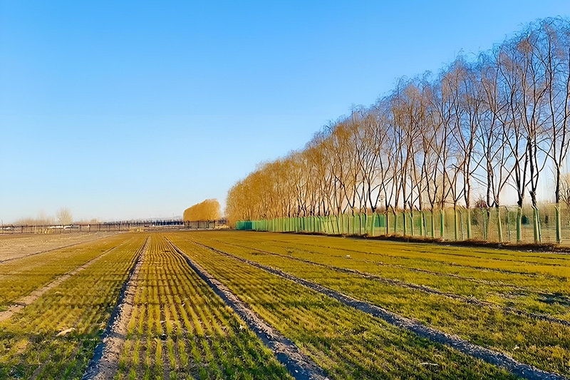 十四年外贸独立站从业者往事:那个春天签下的合同和那双捅破的皮鞋_众宣网络(图1) 十四年外贸独立站从业者往事:那个春天签下的合同和那双捅破的皮鞋_众宣网络(图1)