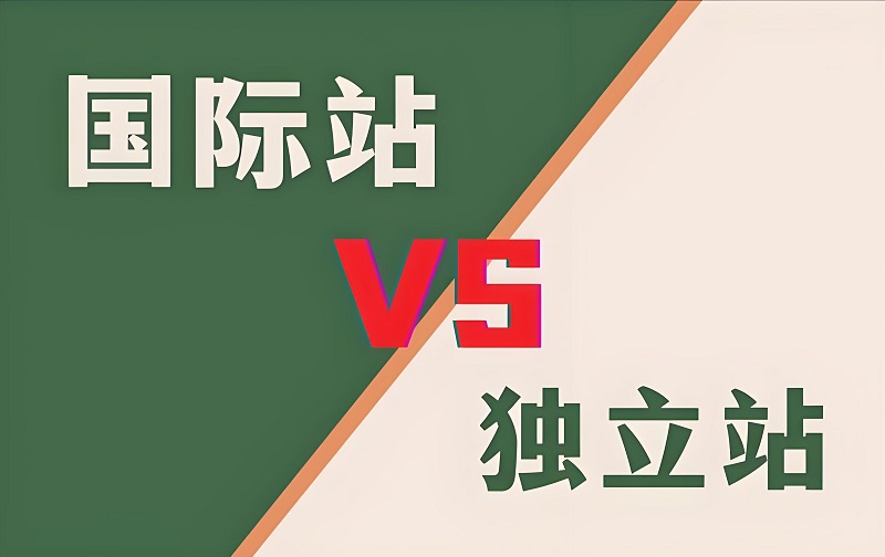独立站 vs 阿里国际站，外贸新人该怎么选？(图1)