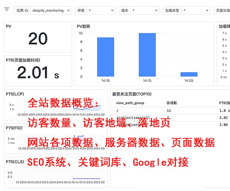 外贸独立站谷歌SEO案例